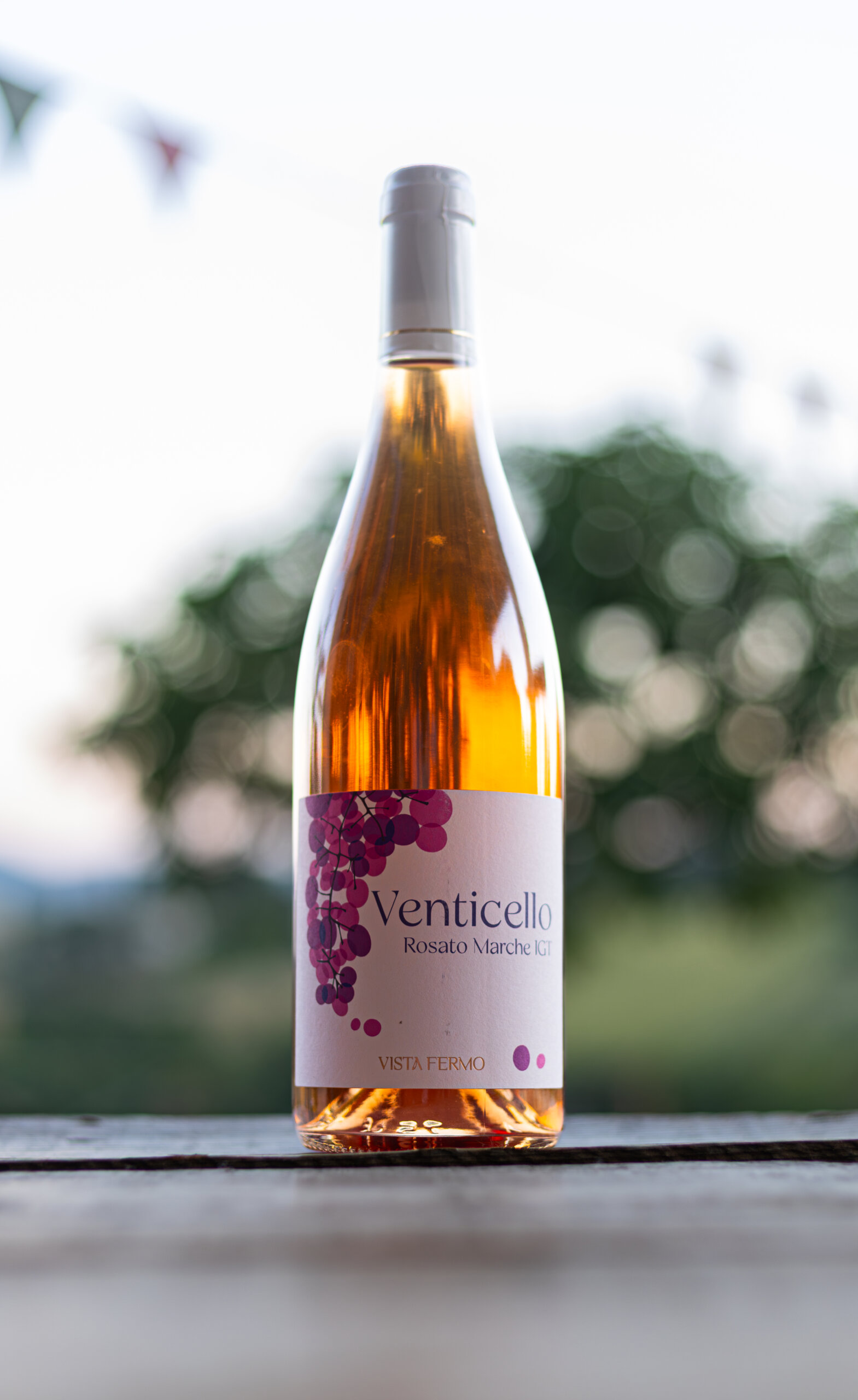Doos Rosato Marche IGT - Rosé uit onze eigen wijngaard (6 flessen)